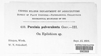 Image Associated With the Occurence